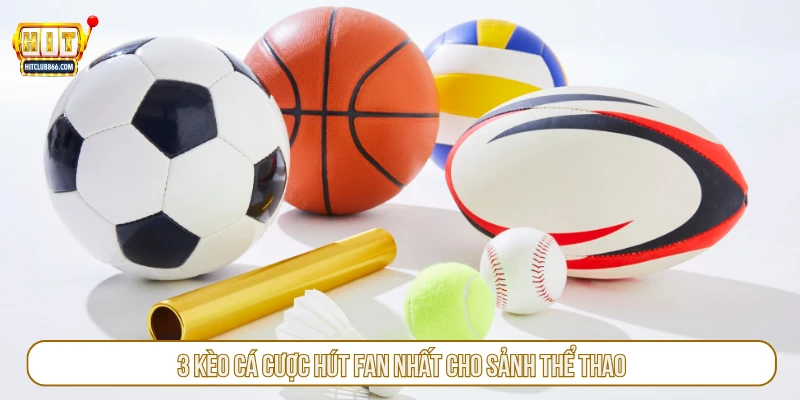 3 kèo cá cược hút fan nhất cho sảnh thể thao