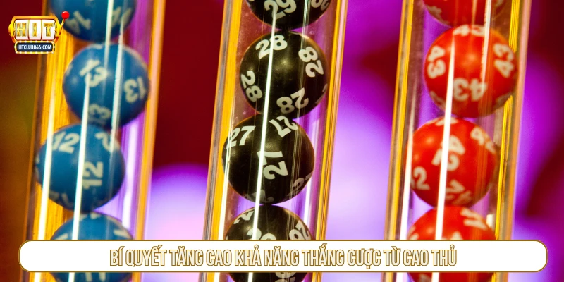 Bí quyết tăng cao khả năng thắng cược từ cao thủ