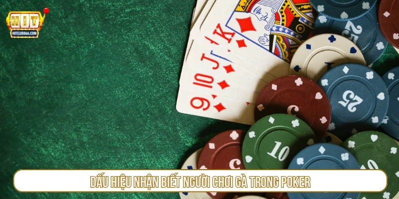 Dấu hiệu nhận biết người chơi gà trong poker