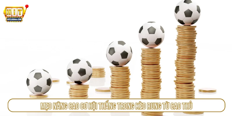 Mẹo nâng cao cơ hội thắng trong kèo rung từ cao thủ