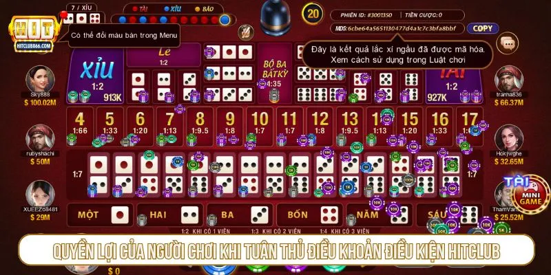 Quyền lợi của người chơi khi tuân thủ điều khoản điều kiện Hitclub