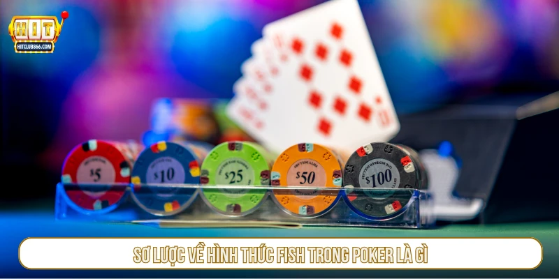 Sơ lược về hình thức fish trong poker là gì