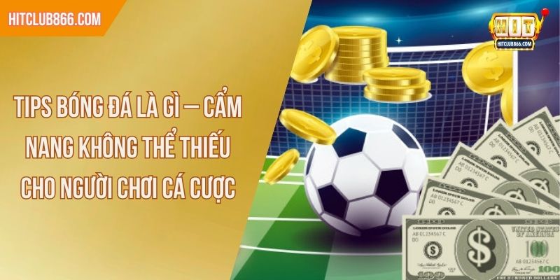 tips bóng đá là gì
