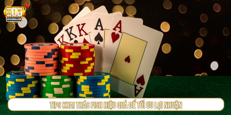 Tips khai thác fish hiệu quả để tối ưu lợi nhuận