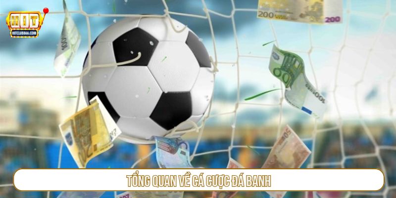 Tổng quan về cá cược đá banh