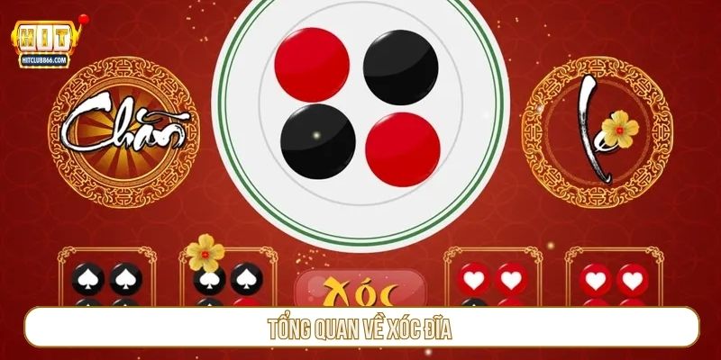 Tổng quan về xóc đĩa