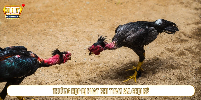 Trường hợp bị phạt khi tham gia chọi kê